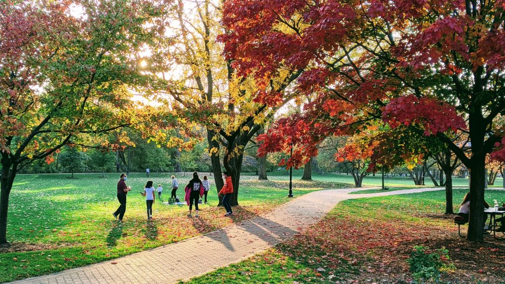 ludzie w parku jesienią
