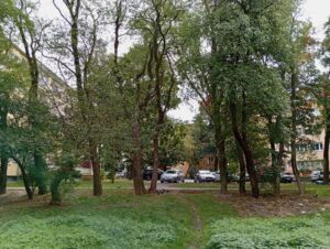 zielone podwórko